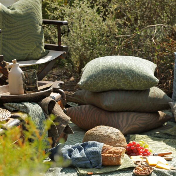 The Safari Collection