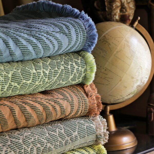 The Safari Collection