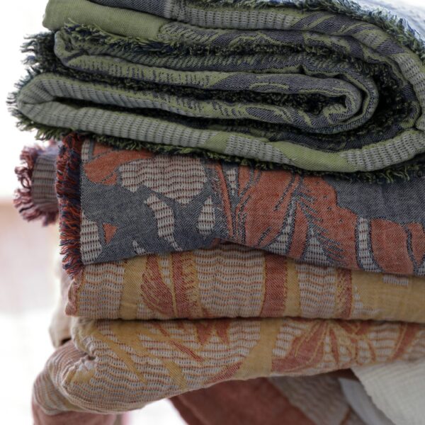 The Kelp Forest Collection