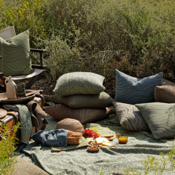 Safari_05